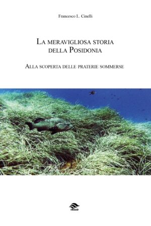 la meravigliosa storia della posidonia