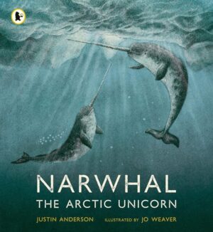 narwhal