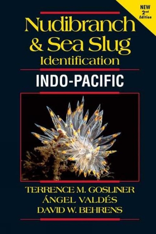 Nudibranch & Sea Slug Identification INDO-PACIFIC