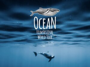 Ocean Film Festival Italia 2022 - Eventi dal Blog del Mare