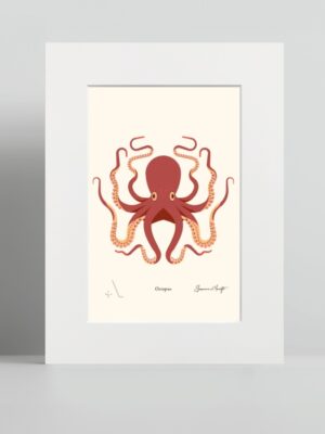 octopus - polpo