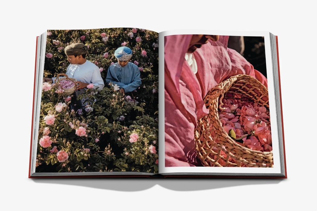 oman odyssey - immagine 4