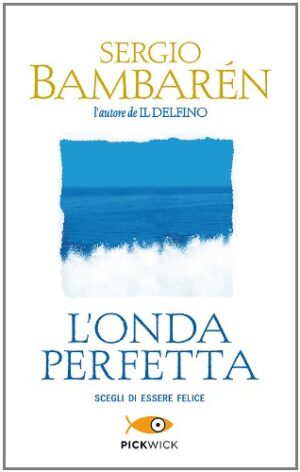 l'onda perfetta