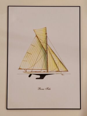 pannello "profilo: bona fide"