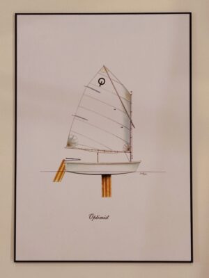 pannello "profilo: optimist"