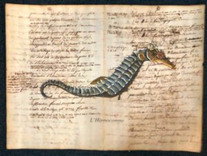 Fish on ancient book page - L'hippocampe