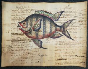 fish on ancient book page - le borde