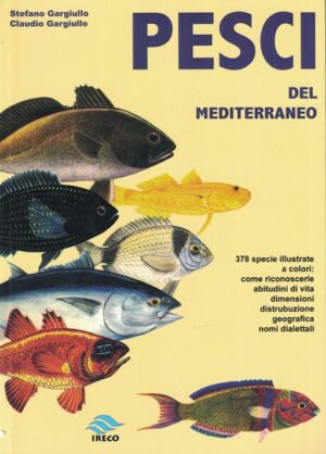 pesci del mediterraneo
