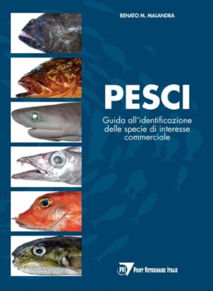 PESCI