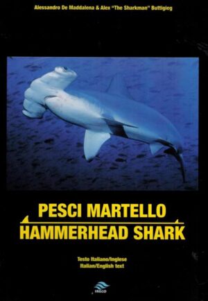 HAMMERHEAD SHARK