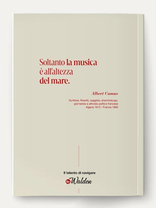 Polpo - Sabbia - immagine 2