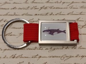 portachiavi zoodicarta - balenottera