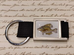 portachiavi zoodicarta - kelp bass