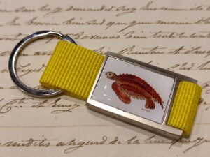 portachiavi zoodicarta - tartaruga liuto