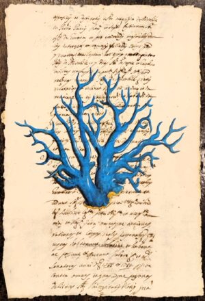 precious corales blu su carta antica