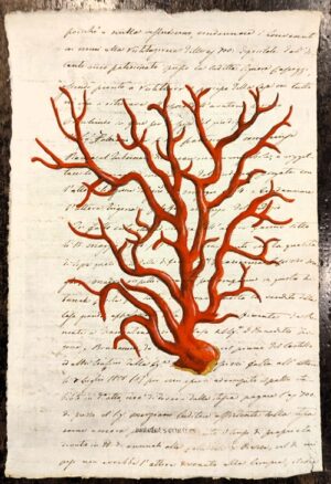 Precious corales rosso su carta antica