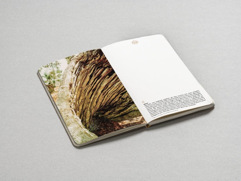 puglia - personal jo - immagine 2