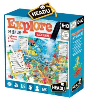 explore the sea life