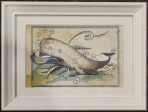 quadro "cetus" medio