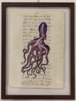 framed print "octopus on ancient book page"