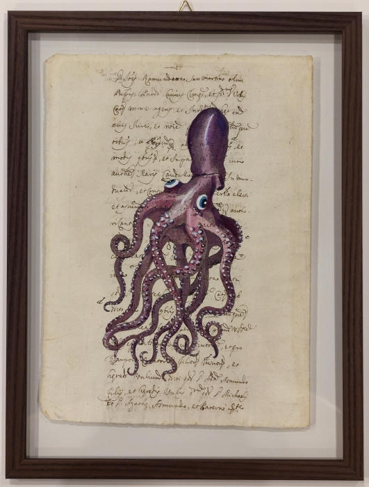 Framed print "Octopus on ancient book page"