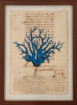 quadro "precious corales blu su carta antica"