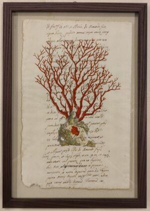 quadro "precious corales rosso su carta antica"