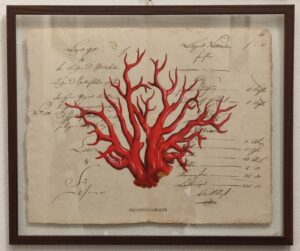 Quadro "Precious corales rosso su carta antica"
