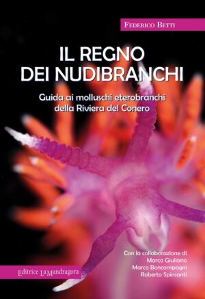 IL REGNO DEI NUDIBRANCHI