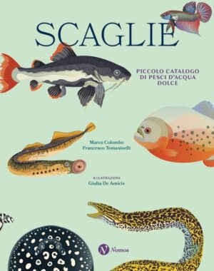 Scaglie