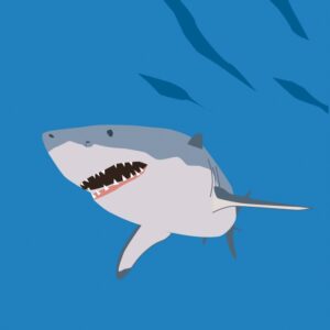 sea creatures: shark (pop-ups)
