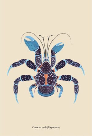 double-sided bookmark - Coconut crab (Birgus latro)