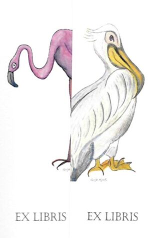 set of 2 bookmarks zoodicarta - pelican and flamingo