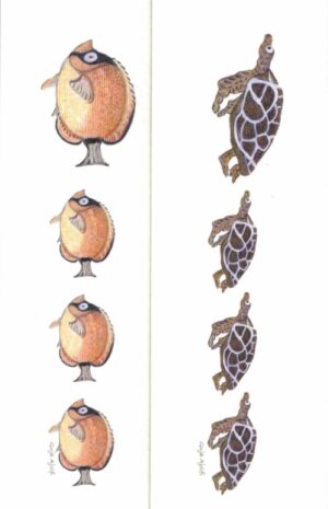 set di 2 segnalibri zoodicarta - tartarughe e pesci