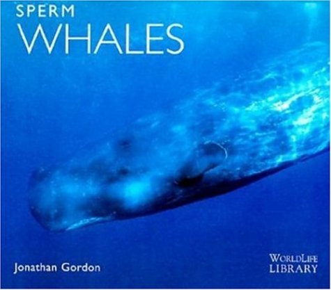 sperm whales - Libreria del Mare
