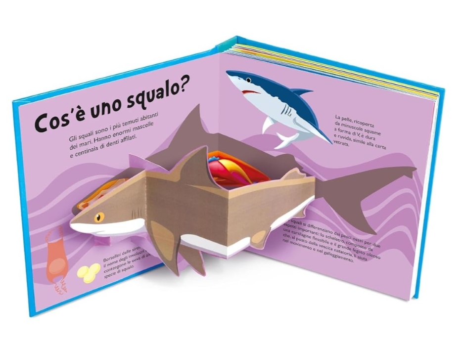 SQUALI - 10 POP-UP - immagine 2