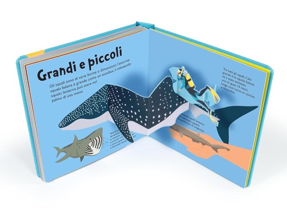 SQUALI - 10 POP-UP - immagine 3