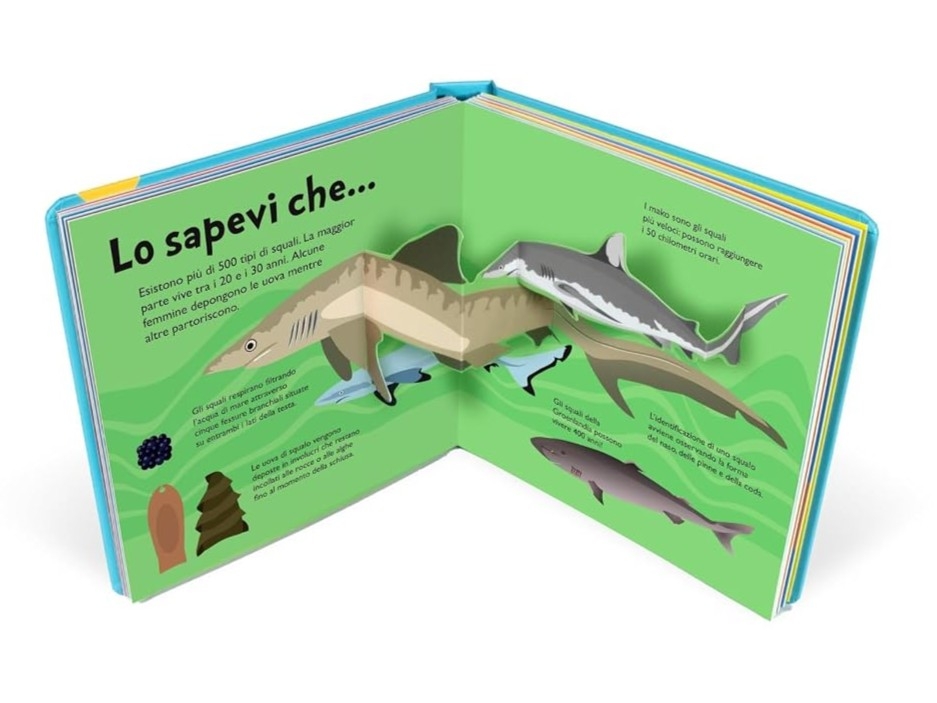 SQUALI - 10 POP-UP - immagine 4