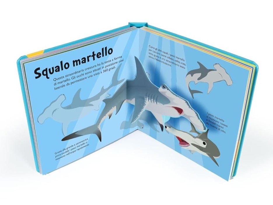 SQUALI - 10 POP-UP - immagine 5