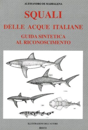 squali delle acque italiane