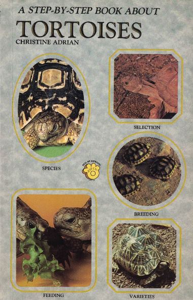 tortoisehg instructions