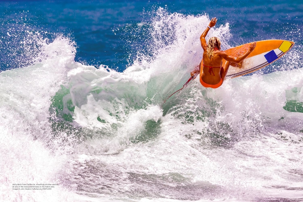 surfEXPLORE - immagine 5