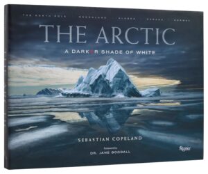 the arctic - a darker shade of white
