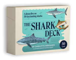 The shark deck