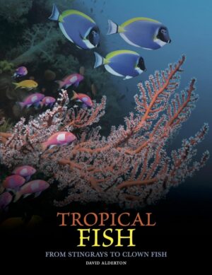 TROPICAL FISH