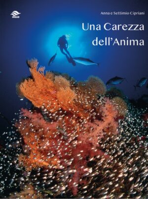 una carezza dell'anima
