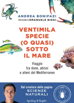 Ventimila specie (o quasi) sotto il mare
