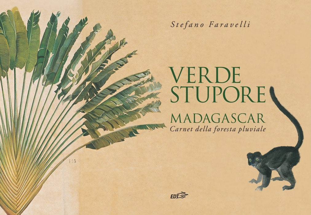 verde stupore - madagascar