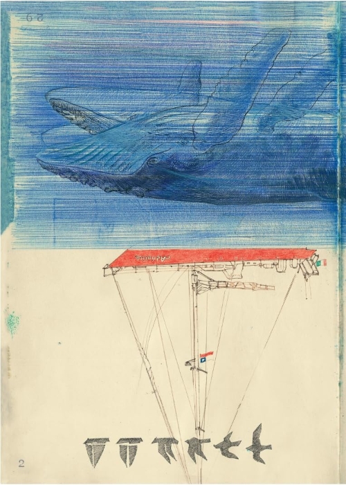 verso capo horn - immagine 4