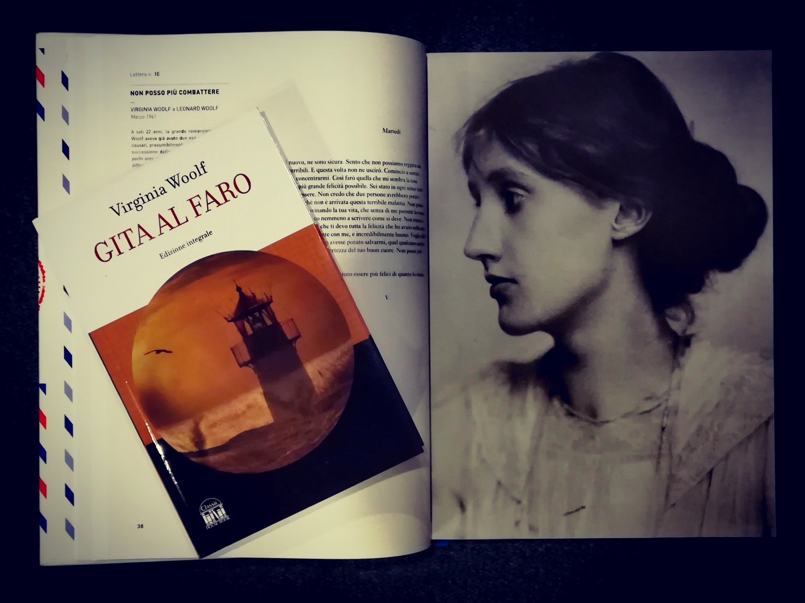 Virginia Woolf in gita al faro - Libri dal Blog del Mare